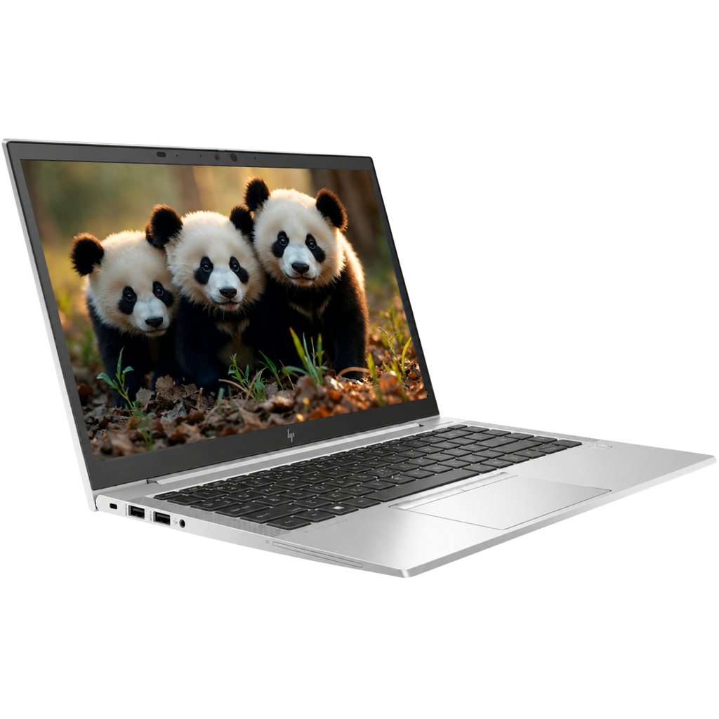 HP EliteBook 845 G7 14" FHD AMD Ryzen 5 PRO 4650U 16GB RAM 256GB SSD (Reacondicionado) 