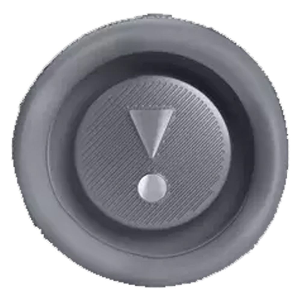 JBL Flip 6 Portable Waterproof Bluetooth Speaker (Gray)