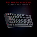 DRAGONBORN NEGRO: 60%, ESPAÑOL, MECANICO RED SWITCH + LUZ RGB 