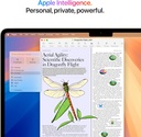 Apple Laptop MacBook Air 2025 de 13 pulgadas con chip M4: diseñada para Apple Intelligence, pantalla de retina líquida de 13.6 pulgadas, memoria unificada de 16 GB, almacenamiento SSD de 256 GB,