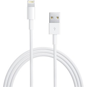 Cable de transferencia de datos 4XEM - 3 pies Lightning/USB - para iPad, iPhone, iPod - 1