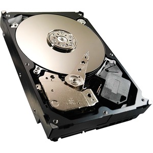 [ST3500312CS/PUL] Disco Duro Seagate Pipeline HD ST3500312CS - Interno - 500 GB - SATA (SATA/300)